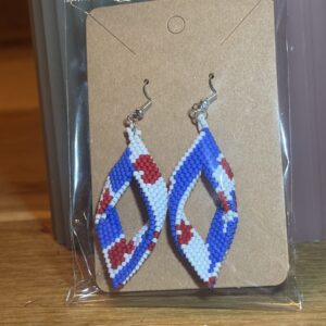 De Friese vlag  oorbellen